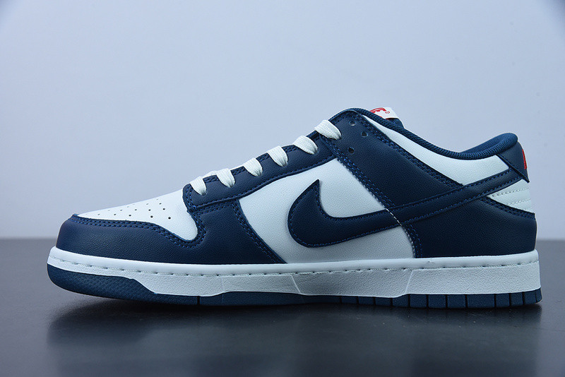 NIKE DUNK LOW VALERIAN BLUE DD1391-400