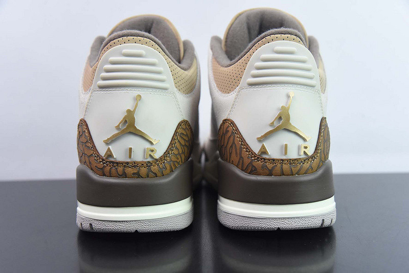 Air Jordan 3 "Palamino" CT8532-102