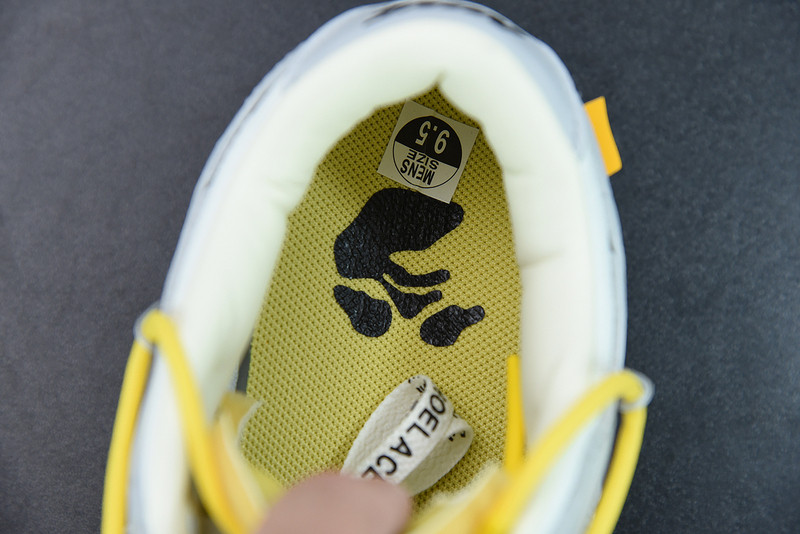 OF X DUNK LOW 