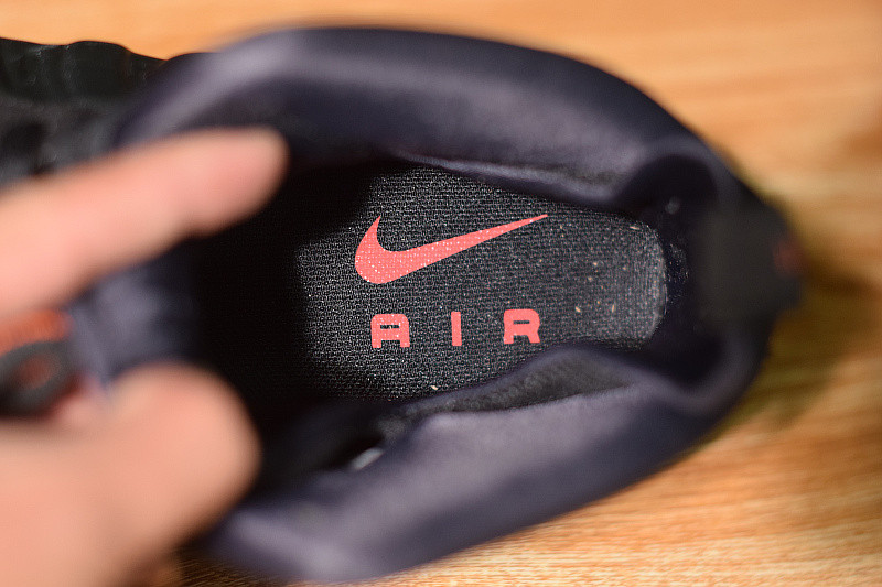 NIKE AIR FOAMPOSITE  PRO SEQUOIA 624041-304