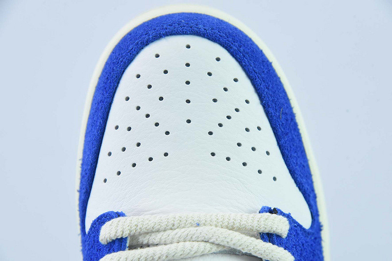 Nike FLY STREETWEAR X DUNK LOW PRO SB DQ5130-400