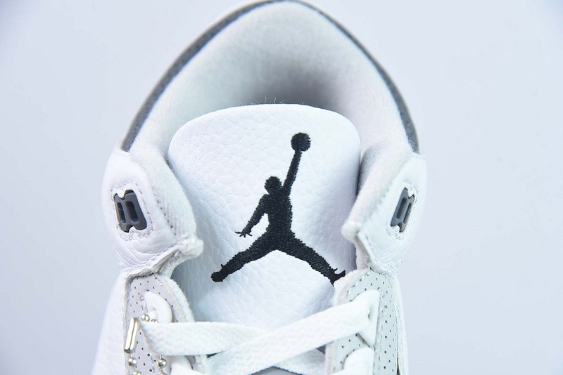 Air Jordan 3 GS Hide N