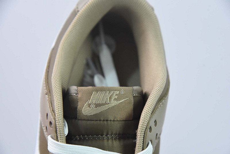 Nike Dunk Low Judge Grey DJ6188-200