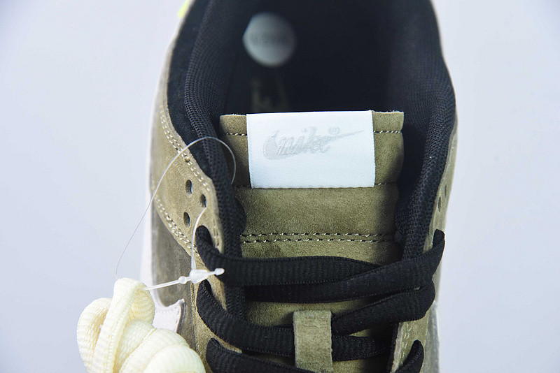 Nike SB Dunk Low WTVUA WT1233-033