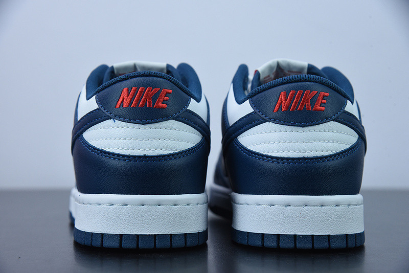 NIKE DUNK LOW VALERIAN BLUE DD1391-400