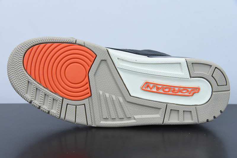 AIR JORDAN 3 “DESERT ELEPHANT” CT8532-008