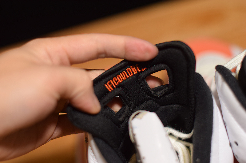 AIR JORDAN 6 RETRO "GATORADE" 384664-145
