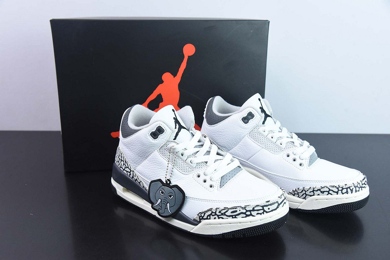 Air Jordan 3 GS Hide N
