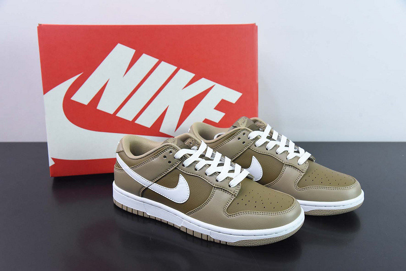 Nike Dunk Low Judge Grey DJ6188-200