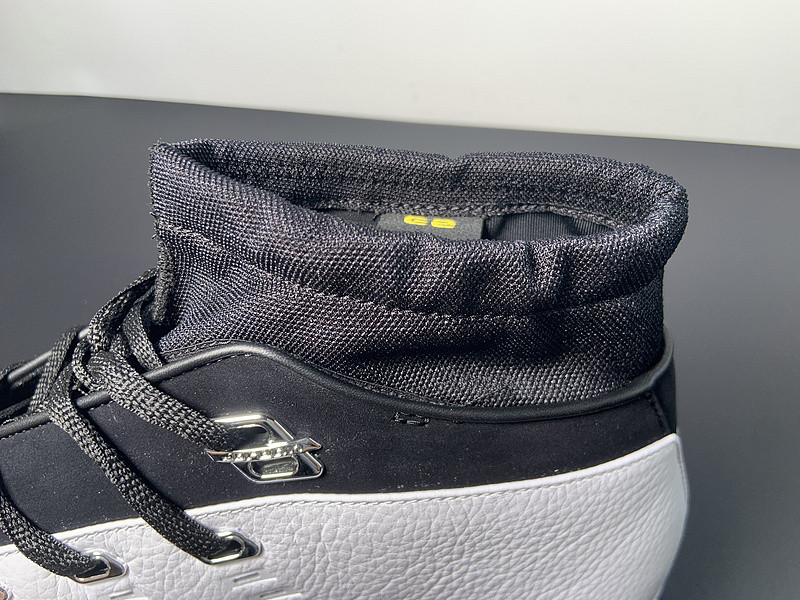 AIR JORDAN 17 LOW “LIGHTNING” FJ0395-100