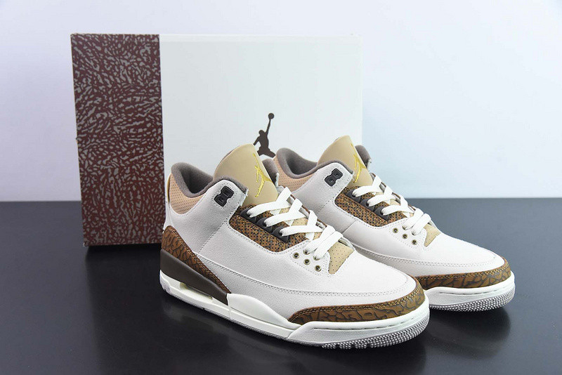 Air Jordan 3 "Palamino" CT8532-102