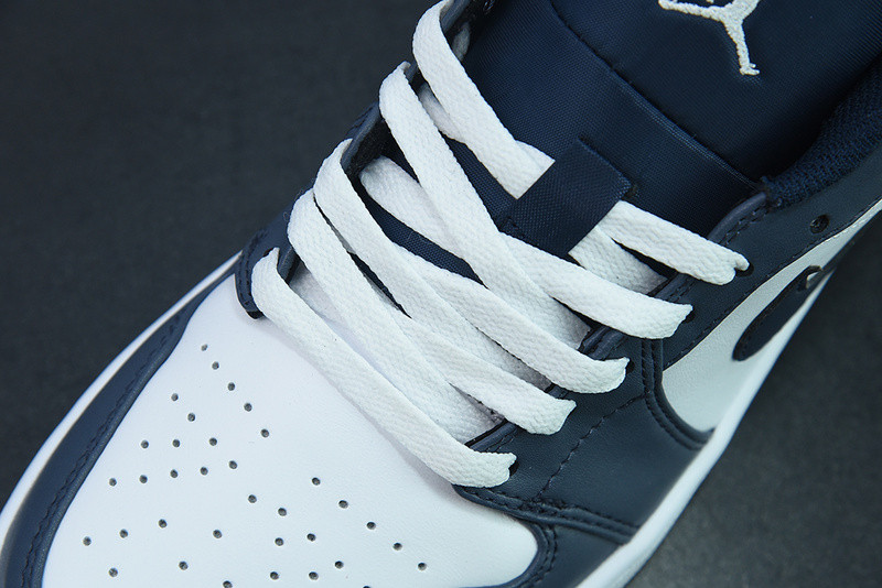 AIR JORDAN 1 LOW COVERED IN BLUE TONES 553558-414