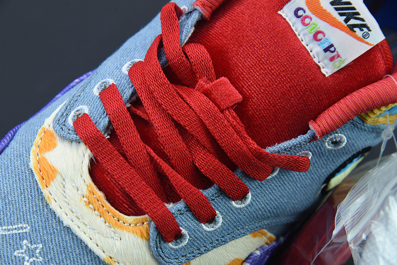 NIKE AIR MAX 1 SP CONCEPTS FAR OUT DN1803-50