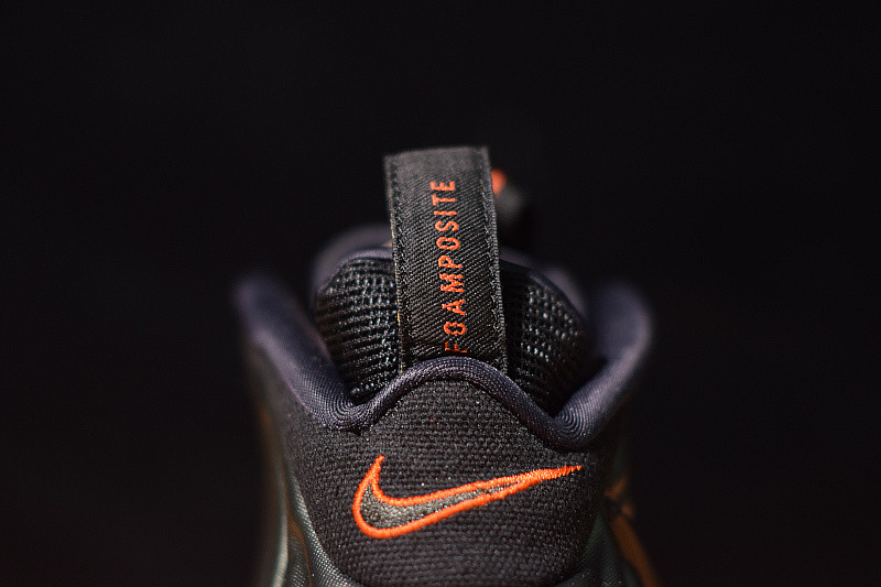 NIKE AIR FOAMPOSITE  PRO SEQUOIA 624041-304