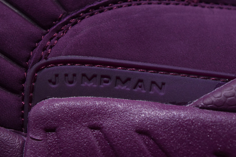 AIR JORDAN 12  RETRO