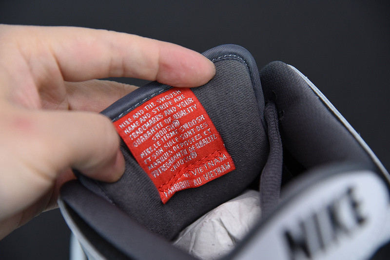 ATLAS X DUNK LOW PREMIUM SB 