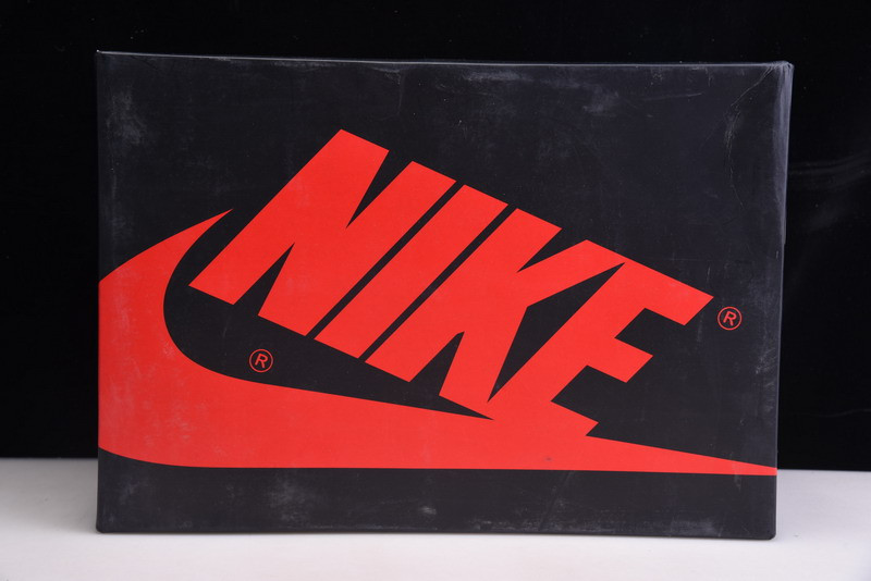 AIR JORDAN 1 HIGH OG “TIE-DYE” CD0461-100