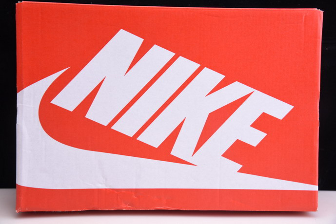 NIKE Dunk Low Retro SP