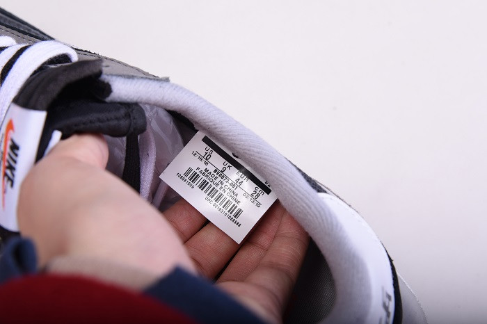 NIKE SACAI X LDV WAFFLE DAYBREAK BV0073-001