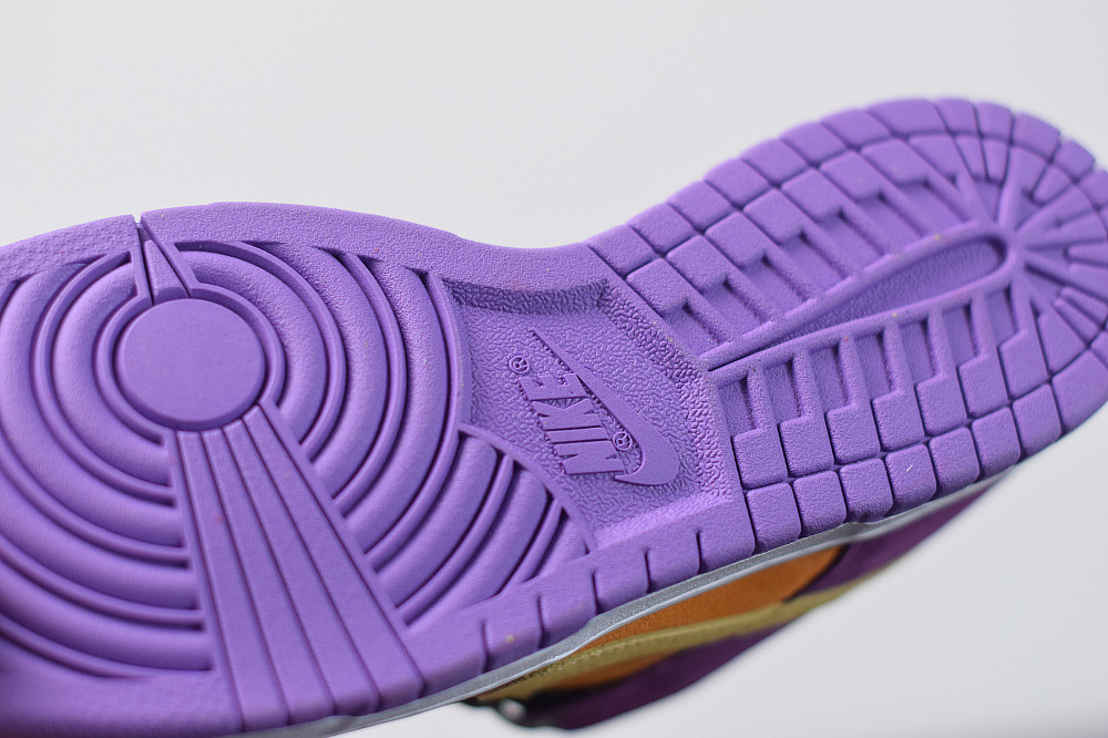 NIKE CONFRIMS DUNK LOW “VIOTECH” CT5050-500